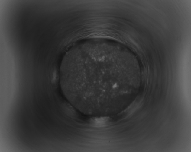 X0000100390134200806061302