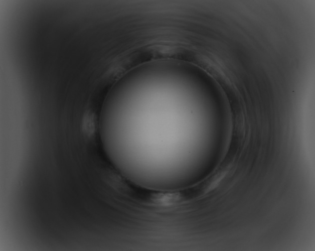 X0000100390135200806061302