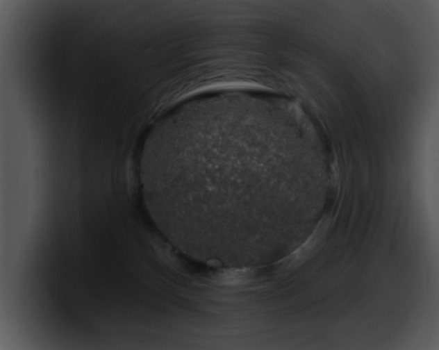 X0000100390136200806061302