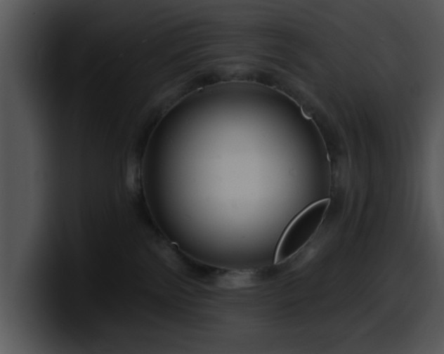 X0000100390138200806061302