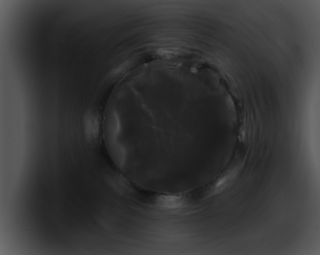 X0000100390139200806061302