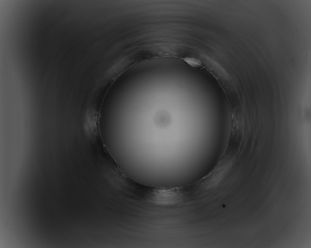 X0000100390141200806061302
