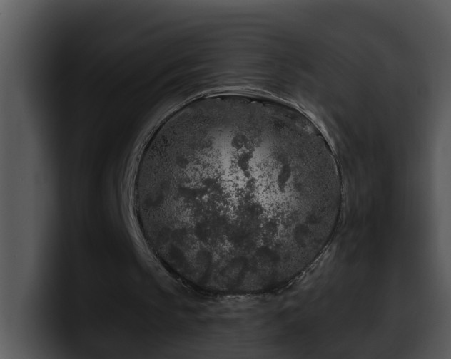 X0000100390145200806061302