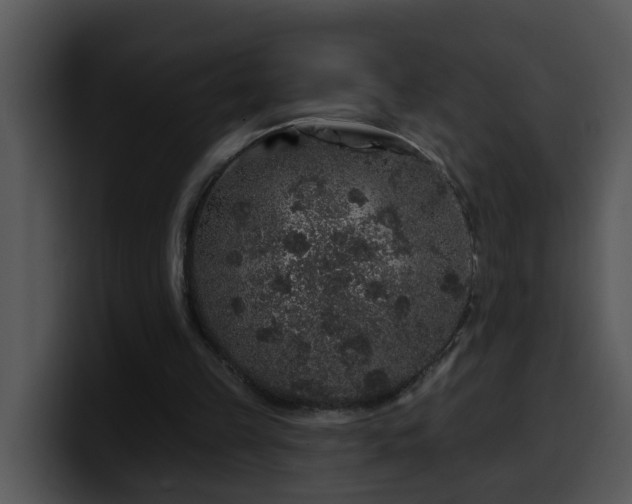 X0000100390149200806061302