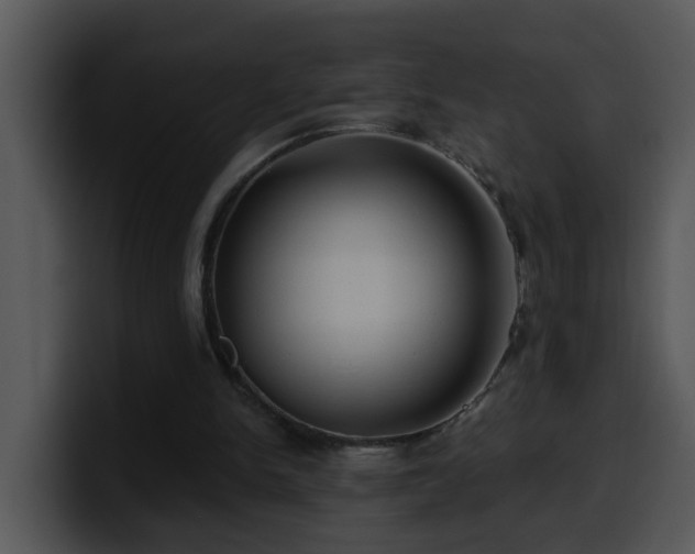 X0000100390150200806061302