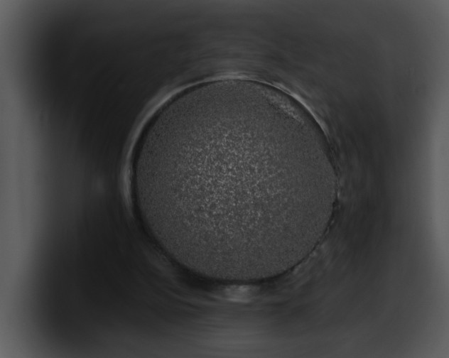 X0000100390152200806061302