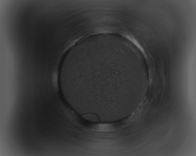 X0000100390154200806061302