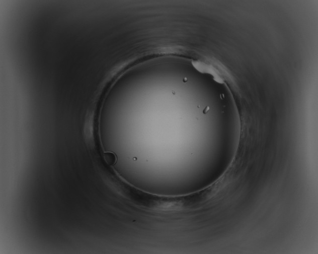 X0000100390155200806061302