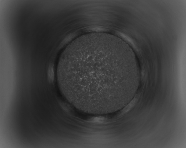 X0000100390158200806061302