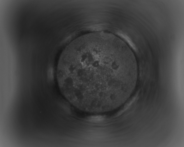 X0000100390161200806061302