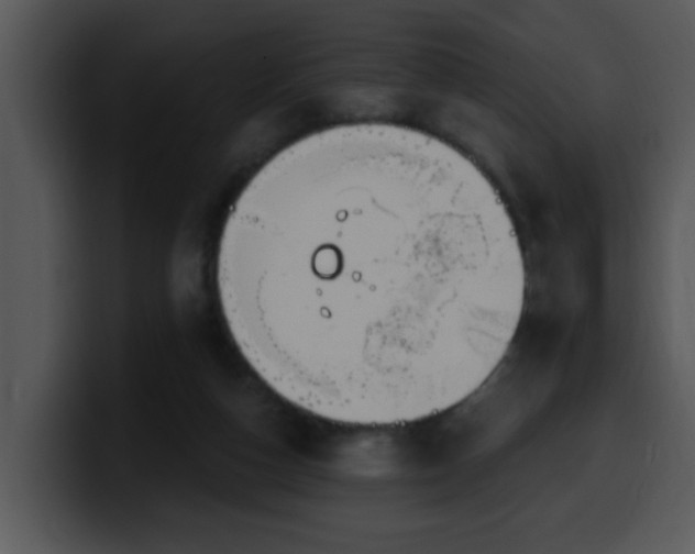 X0000100390162200806061302