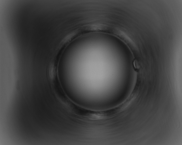 X0000100390164200806061302