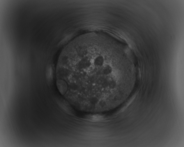 X0000100390165200806061302