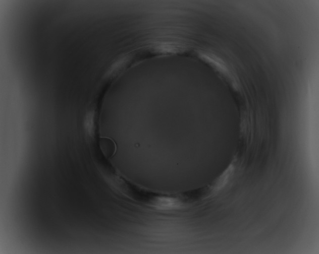 X0000100390167200806061302