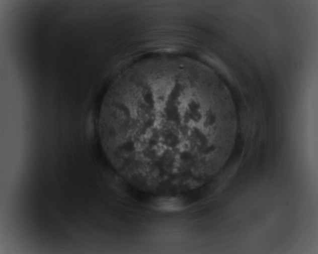 X0000100390169200806061302