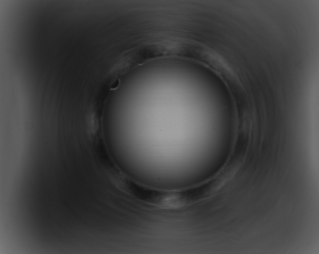 X0000100390173200806061302