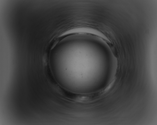 X0000100390174200806061302