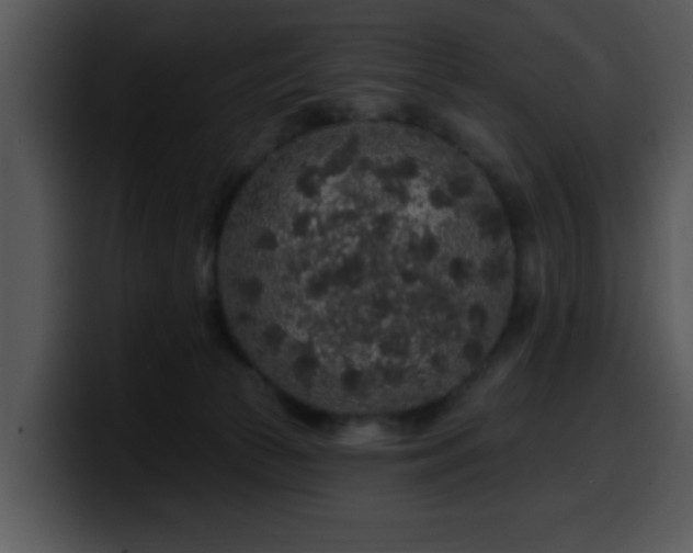 X0000100390177200806061302