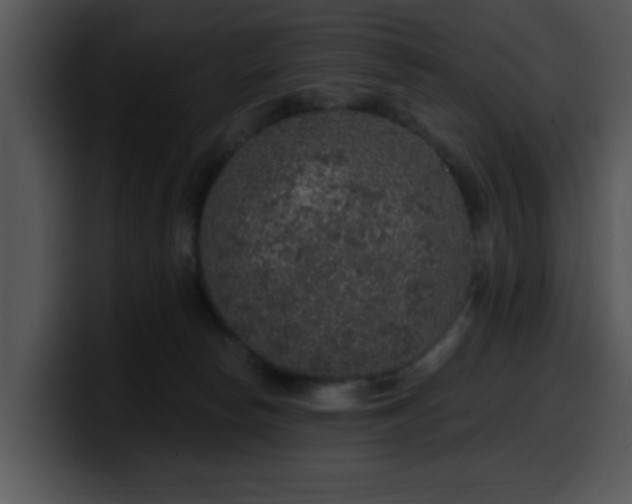 X0000100390178200806061302