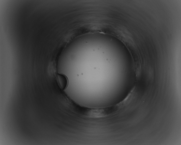 X0000100390179200806061302