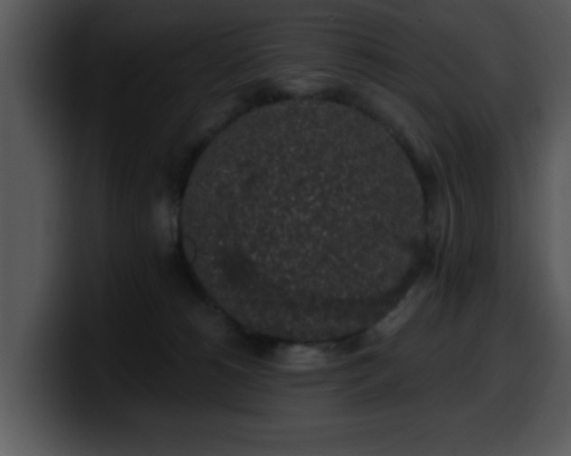 X0000100390180200806061302