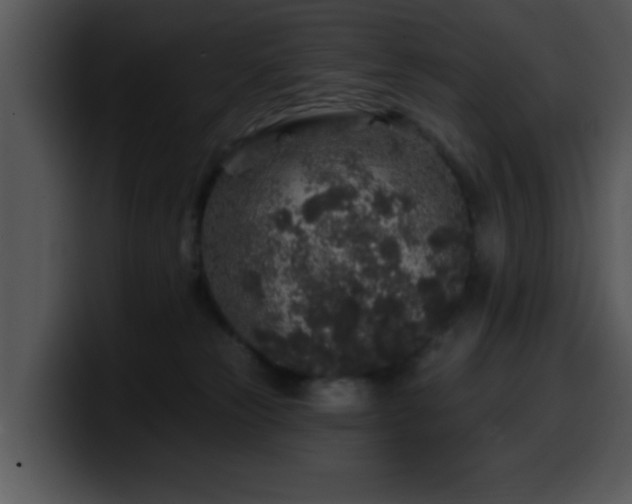 X0000100390181200806061302