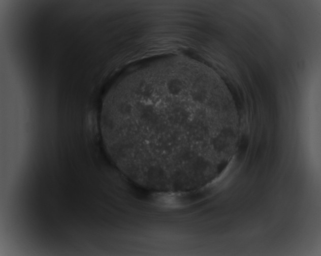 X0000100390182200806061302