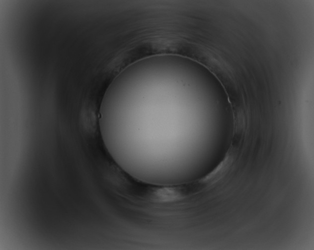 X0000100390183200806061302