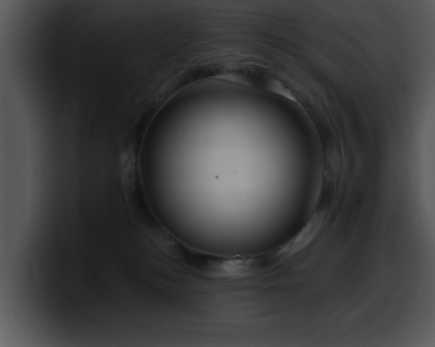 X0000100390184200806061302