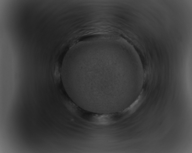 X0000100390186200806061302
