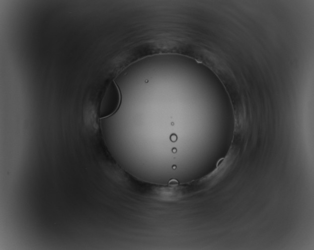 X0000100390187200806061302