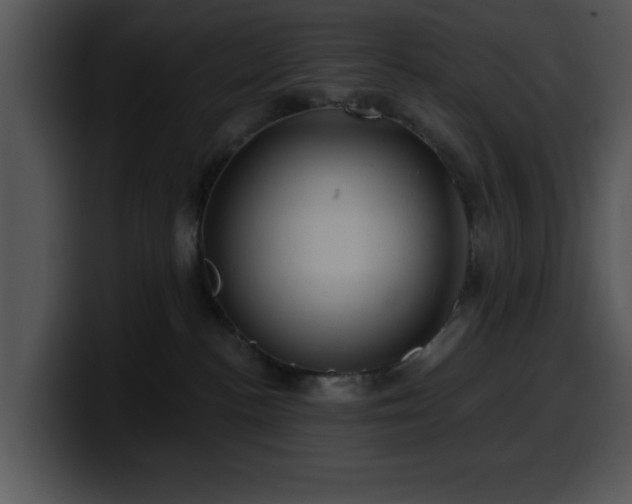 X0000100390188200806061302