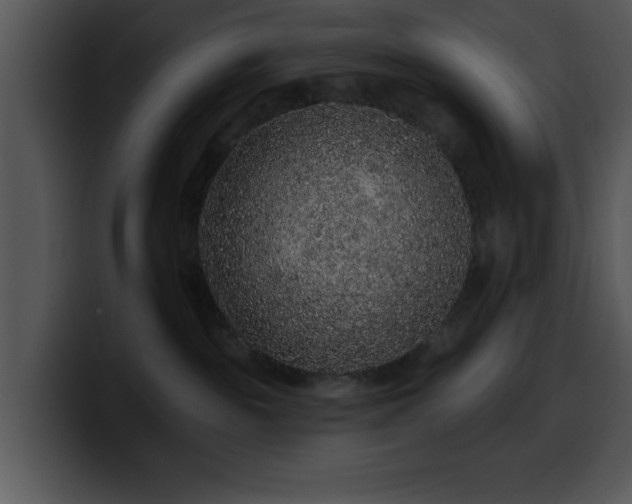 X0000100390189200806061302