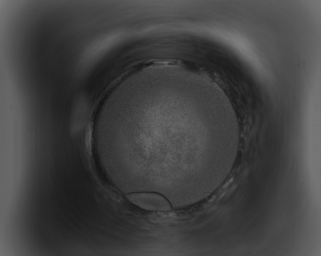 X0000100390194200806061301