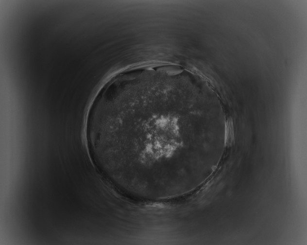 X0000100390195200806061301
