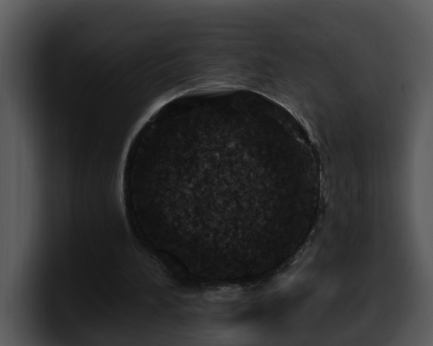 X0000100390196200806061301