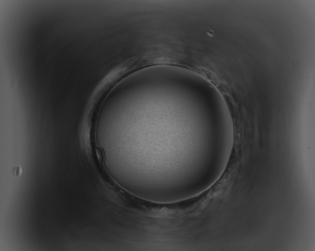 X0000100390197200806061301