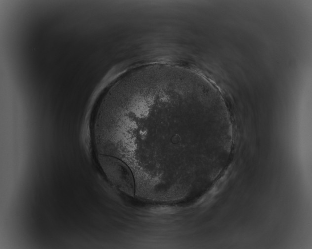 X0000100390198200806061301