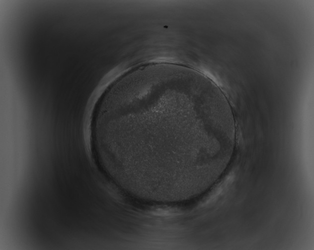 X0000100390199200806061301