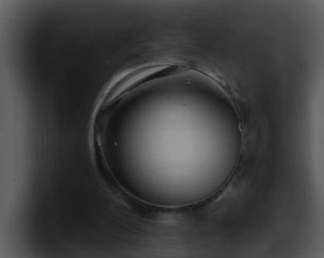 X0000100390200200806061301