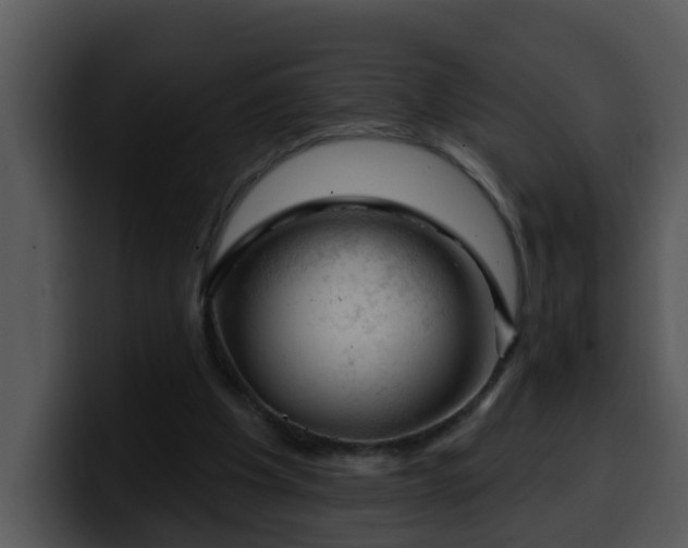 X0000100390201200806061301