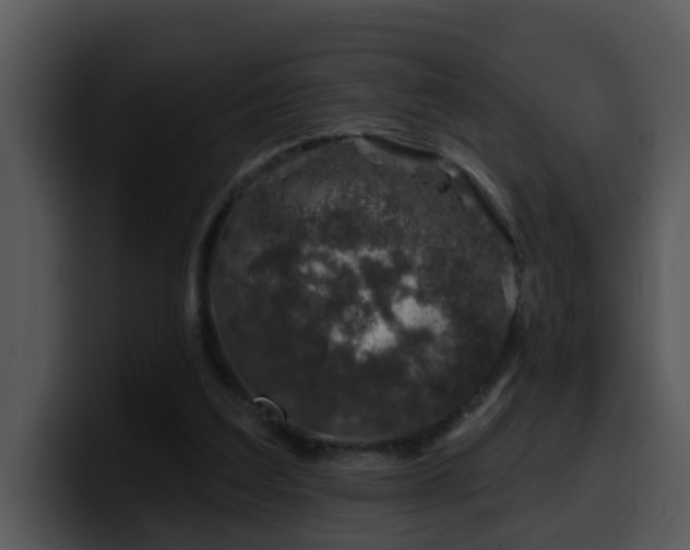 X0000100390203200806061301