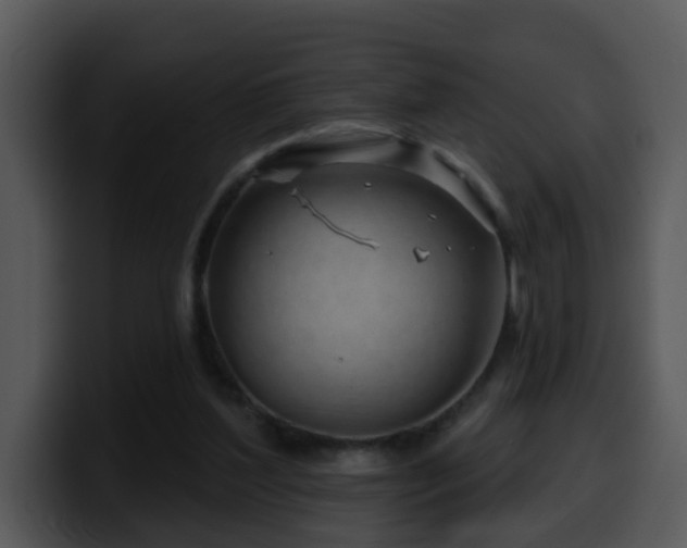 X0000100390204200806061301