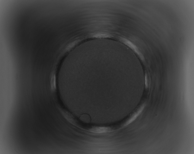 X0000100390205200806061301
