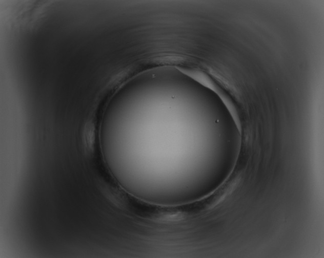 X0000100390206200806061301