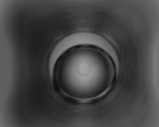 X0000100390207200806061301