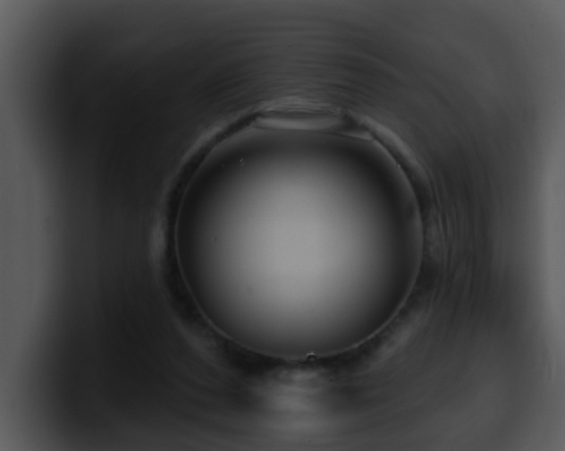 X0000100390208200806061301