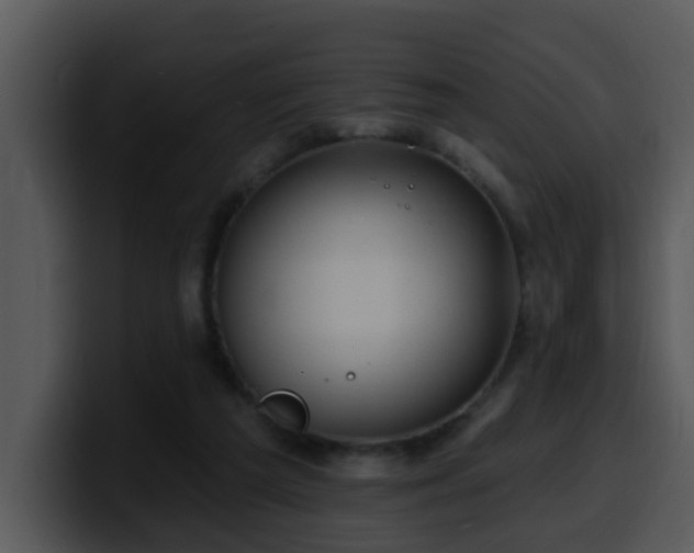 X0000100390209200806061301