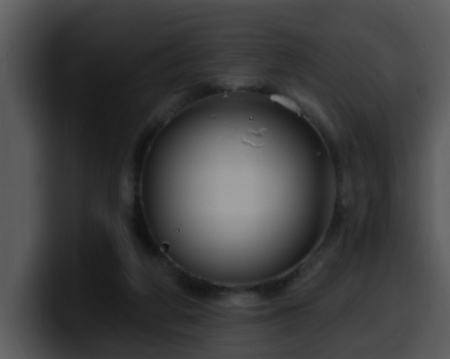 X0000100390210200806061301