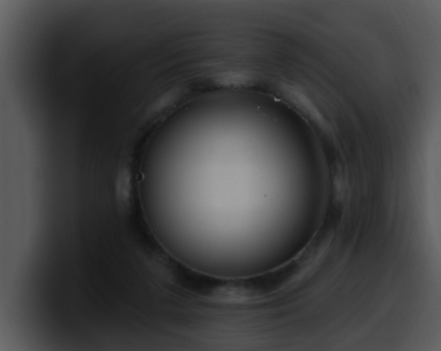 X0000100390211200806061301